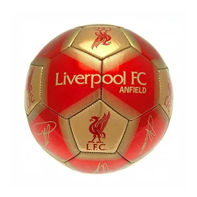 Image of Liverpool FC Signature Skill Ball (One Size) (Red/Gold)