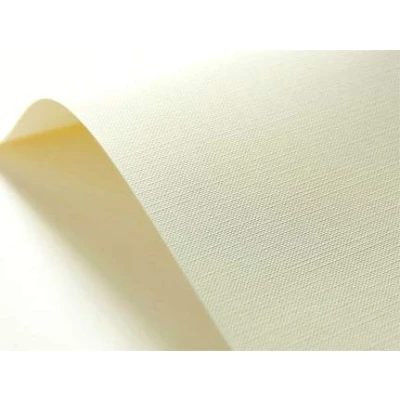 Image of Netuno 100 Sheets Ivory Grid Textured Cardboard DIN A4 210x297mm 8.27x11.69″ 246gsm Elfenbens Chamois Embossed Paper for Printing Wedding Invitations Cards certificates Diplomas menu Books RSVP