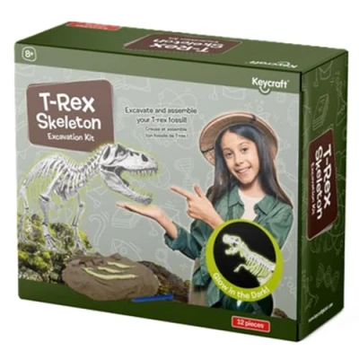 Image of T Rex Skeleton Excavation Kit, Glow in the Dark, 12 Pieces