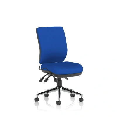 Image of Chiro Medium Back Bespoke Colour Stevia Blue No Arms