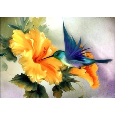 Image of OWN4B Cross Stitch Kits Stamped, Hummingbird and Flowers Printed Pattern 11CT 14.2x18.1 inch DIY Embroidery Kit (Hummingbird)