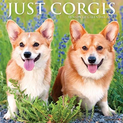 Image of Just Corgis 2021 Calendar
