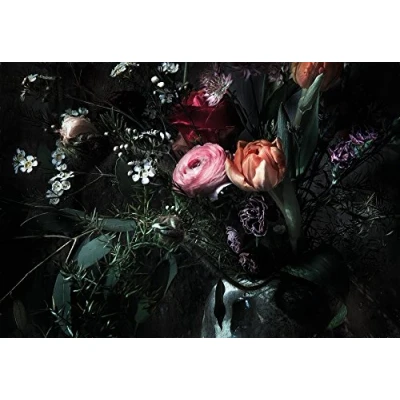 Image of Komar 8 999 Paper Photo Wallpaper Still Life, Size: 368 x 254 cm (W H), Pieces, and Paste, Made in Germany, Bunt
