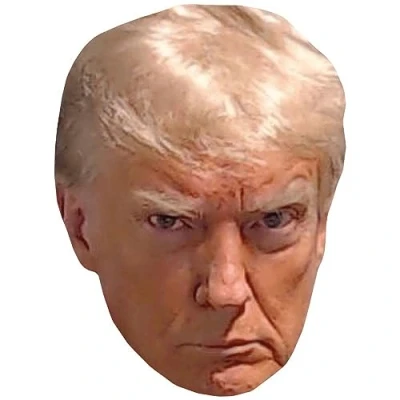 Image of Donald Trump (Mug Shot) Celebrity Mask, Flat Card Face, Fancy Dress Mask