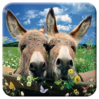 Image of 3D LiveLife Cork Coaster Donkeys from Deluxebase. Lenticular Farm Coaster. Non slip drinks mat with original artwork licensed renowned artist, David Penfound