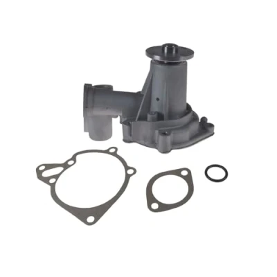 Image of MD050450, MD664616, MD972001, MD997001, MD997084 Water pump BLUE PRINT ADC49112 Cast Aluminium with gaskets/seals Metal