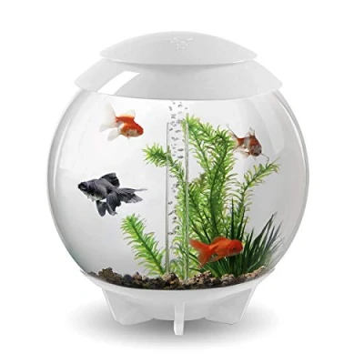 Image of OASE biOrb 72040 HALO 30 LED white