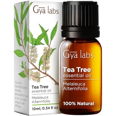 Image of Gya Labs Australian Tea Tree Oil for Skin, Hair, Face &amp; Toenails (10ml) Natural Melaleuca Essential Piercings, Scalp Hair