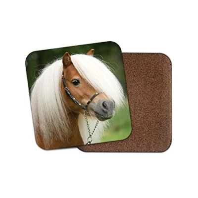 Image of 1 x Shetland Pony Stallion Coaster Horse Equestrian Fun Pretty Girls #15673