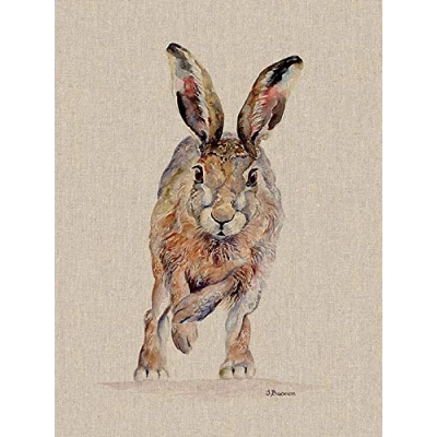Image of Jane Bannon Canvas, Multicolour, 30 x 40cm
