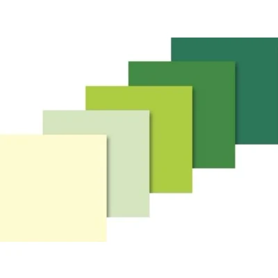 Image of Baier &amp; Schneider Tissue Paper 10 Sheets 50 x 70 cm Green/5 Assorted Colours