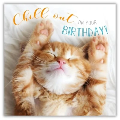 Image of Abacus Cards Male/Female Birthday Card General Funny for Men/Women &#039;Chill Out&#039; Sleeping Kitten Eco Friendly &amp; Recyclable Made in the UK