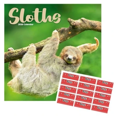 Image of Sloths Calendar 2025 Square Wall Sloth 16 Month With Free Organisational Stickers