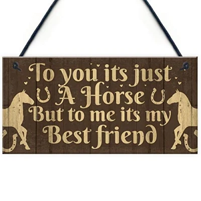 Image of RED OCEAN Gift For Horse Lovers Best Friend Hanging Stable Door Bedroom Sign Birthday Girls Women