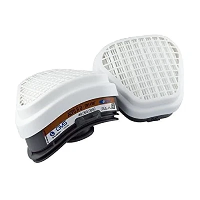 Image of GVS SPR497 Pair of A2P3 Replacement Filters