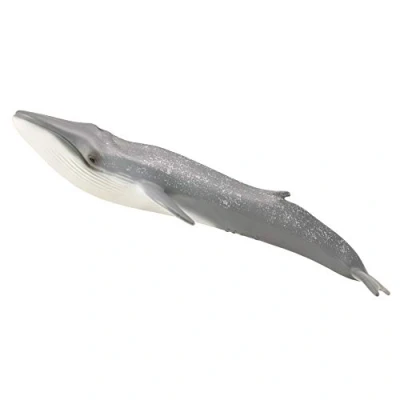 Image of CollectA Blue Whale