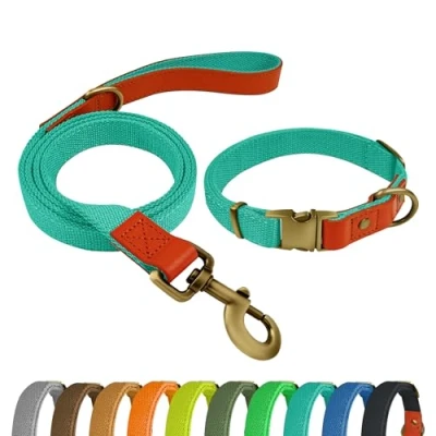 Image of Dog Collar and Lead Set (Cyan, L)