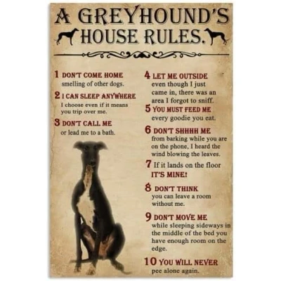 Image of Funny Metal Signs A greyhound&#039;s house rule Retro Tin Vintage For Sign Home Wall Art, 12x8 Inches Bathroom Decor