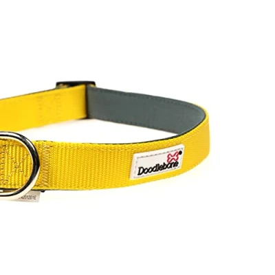 Image of Doodlebone Padded Collar, Sunshine, 1 2