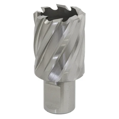 Image of Worksafe Rotabor Cutter HSS Ø29mm Cut Depth 25mm