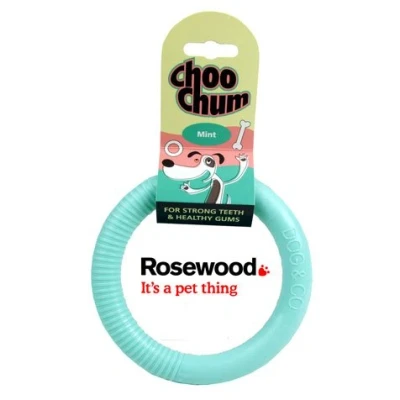 Image of (Choo Chum) Flavoured Nylon Dog Chew Mint Ring (Small)