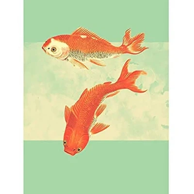 Image of Wee Blue Coo Coy Carp Watercolour Flow Art Print Canvas Premium Wall Decor Poster