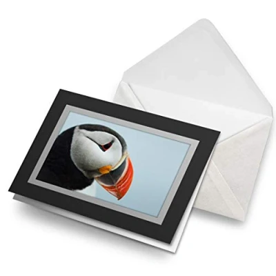 Image of Greeting Cards Black (Insert) Cute Puffin Bird Sea Birds Wild Blank Greetings Card Birthday Kids Party Boys Girls #24071