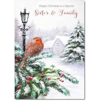 Image of doodlecards Sister and Family Christmas Card Robin by Lamp Medium Size for &amp; with Plain Envelope
