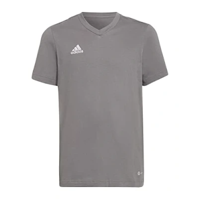 Image of adidas Unisex Kids Entrada 22 Tee, Team Grey Four, 5 6 Years