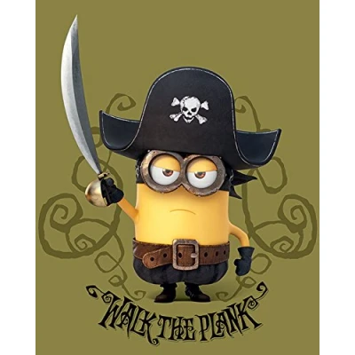 Image of MINIONS Pirate Canvas Print, Multi Colour, 40 x 50cm