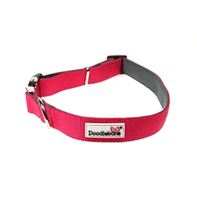 Image of Doodlebone Padded Collar, Fuchsia, 3 6