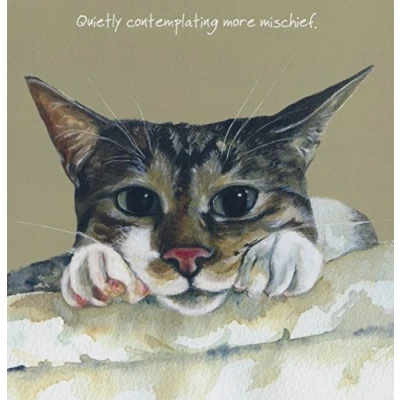 Image of Funny Naughty Tabby Cat BLANK birthday greeting card Contemplating Mischief