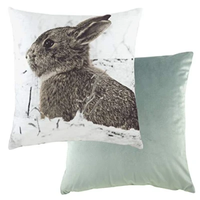 Image of Evans Lichfield Photo Hare Cushion Multicolour Size 43 cm x