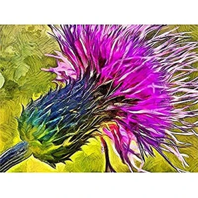 Image of Fine Art Prints Scottish Thistle Flower Vibrant Canvas Wall Print,Purple,16 x 12 inches