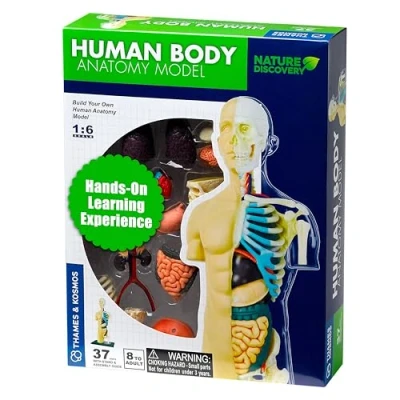 Image of Thames &amp; Kosmos Nature Discovery: Human Body Anatomy Model, Kids Science Kit, Learning Resources for Anatomy, 3D Age 8+
