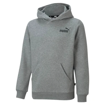 Image of Puma Small LOGO Hoodie Unisex for kids, Size: 3 4y, Medium gray heather