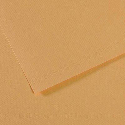 Image of Canson Pack of 10 Sheets, 7 x 42 Shades 60% Bee, 160 g (340), Light Hemp, 29.7 49