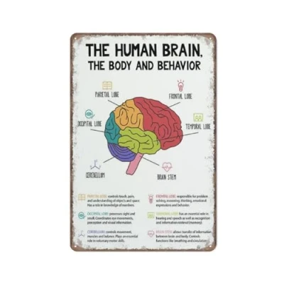 Image of KOPUTE The human Brain poster, anatomy &amp; psychology, Mental health Therapy Office Decor, Retro Metal Poster Wall Art Kitchen Garden Farm Home Decoration,tin sign 14X20cm