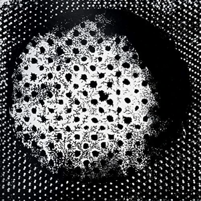 Image of Biosphere Patashnik 2016 Norwegian 2 LP vinyl set BIO4LP