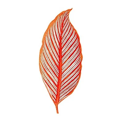 Image of Wee Blue Coo Botanics Red Orange Stripes Unframed Art Print Poster Wall Decor 12x16 inch