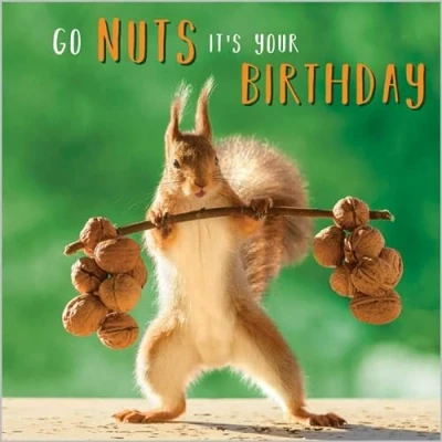 Image of Abacus Cards Funny Open &#039;Happy Birthday&#039; Greeting Card Go Nuts Weightlifting Squirrel From The Rapture Range