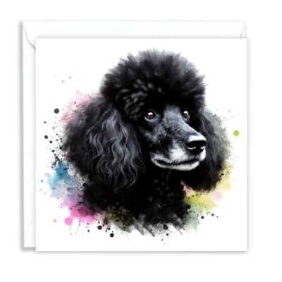Image of Black Poodle Dog Watercolour Splash Effect Artistic Blank Greeting Card