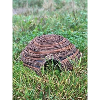 Image of Dome Home Hedgehog/Mammal