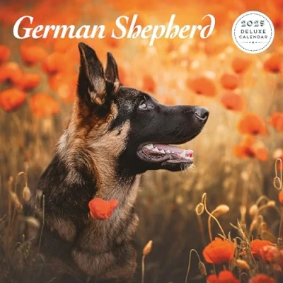 Image of German Shepherd 2025 Deluxe Calendar