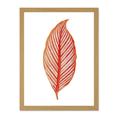 Image of Wee Blue Coo Botanics Red Orange Stripes Large Light Oak Framed Art Print Wall Poster 18x24 inch
