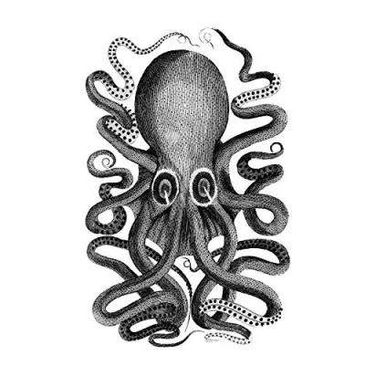 Image of Wee Blue Coo Octopus Vintage Illustration Large Wall Art Print Canvas Premium Poster