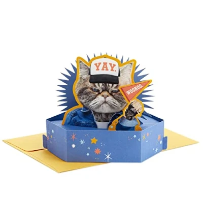 Image of Hallmark Funny Pop Up Birthday Card (Grouchy Cat) Paper Wonder Shoebox 3D