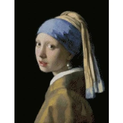 Image of Girl with Pearl Earring Counted Cross Stitch Kits, 100% Cotton,14count, 150x200stitch,27x36cm Portrait Oil Painting kit