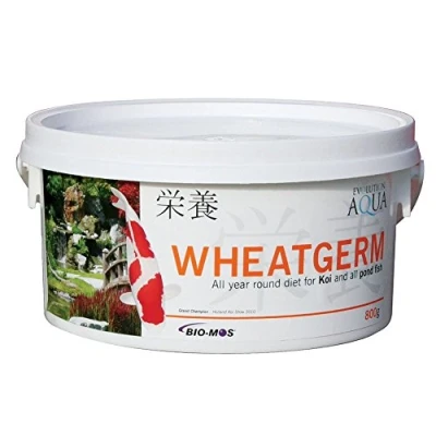 Image of Evolution Aqua Wheatgerm 800 Gms Medium Pellet 5 6Mm