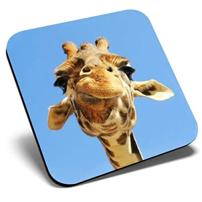 Image of Great Single Coaster Square Silly Giraffe Wild Animal Funny Glossy Quality Coasters Tabletop Protection for Any Table Type #8956